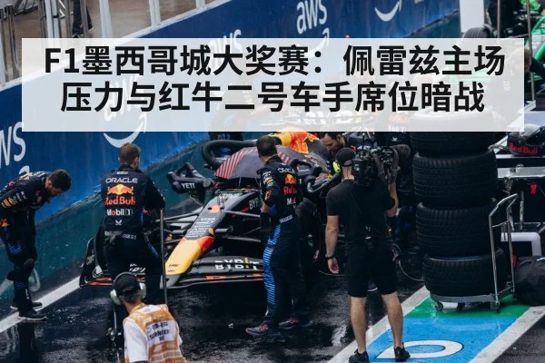 Red Bull F1 team pit crew